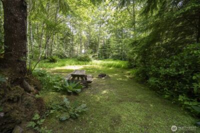 20860 Hoko-Ozette Road , Clallam Bay, WA 98326 - Photo 21