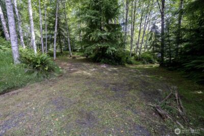20860 Hoko-Ozette Road , Clallam Bay, WA 98326 - Photo 23