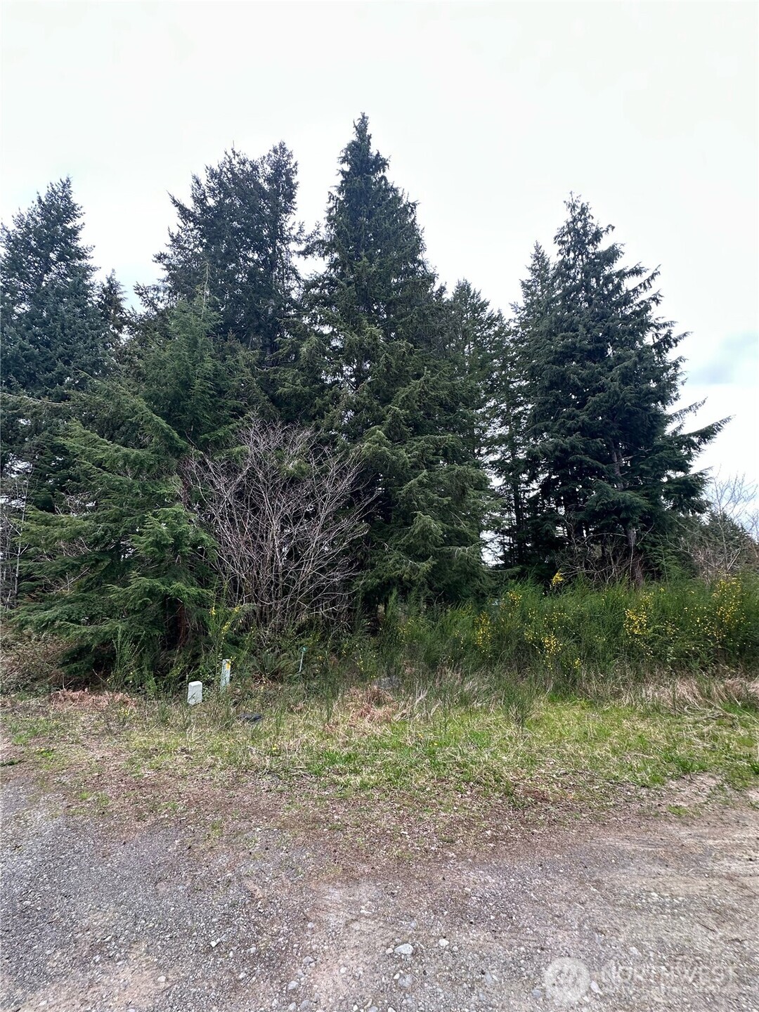 746 Trillium Avenue , Forks, WA 98331