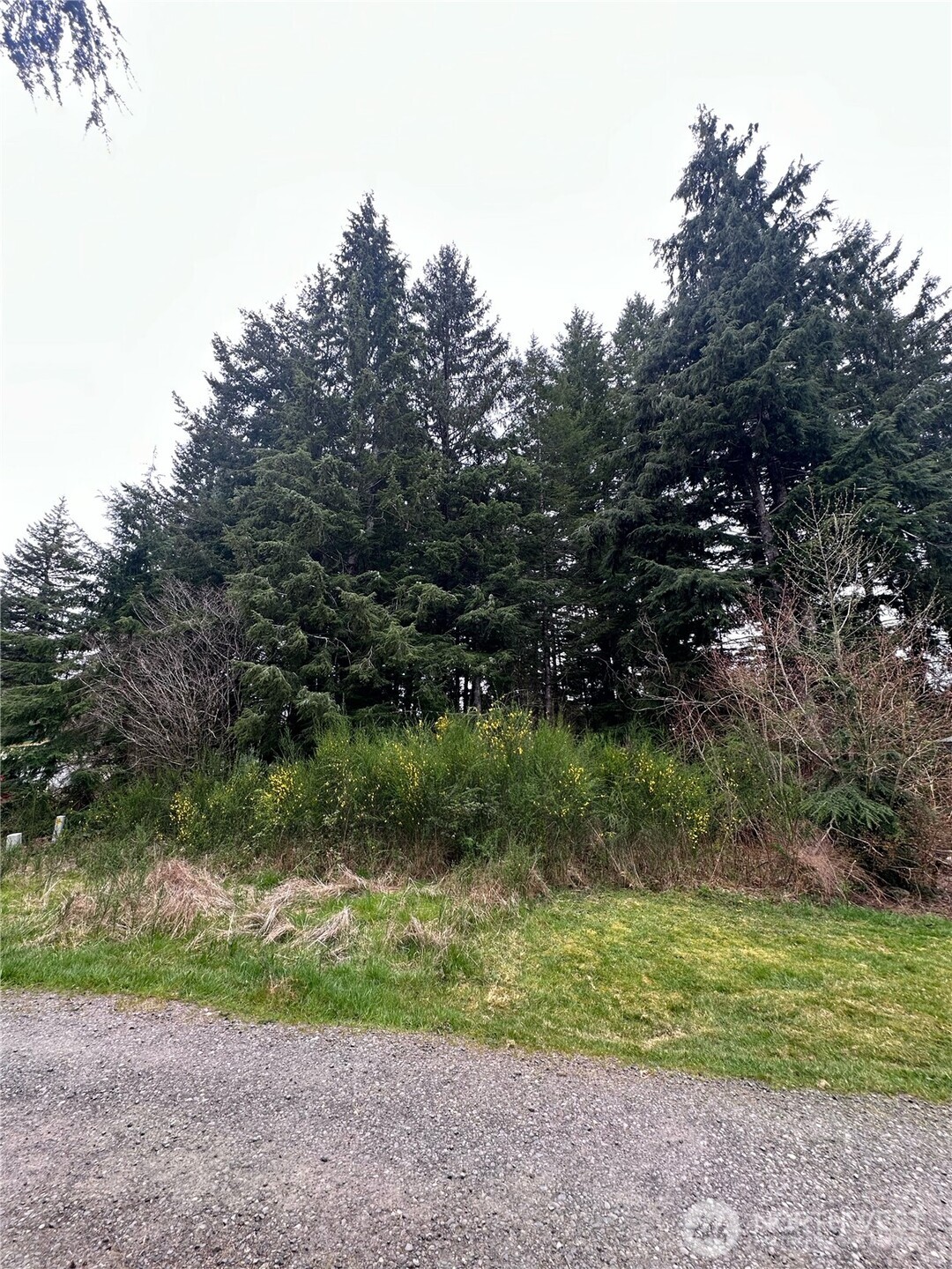 746 Trillium Avenue , Forks, WA 98331