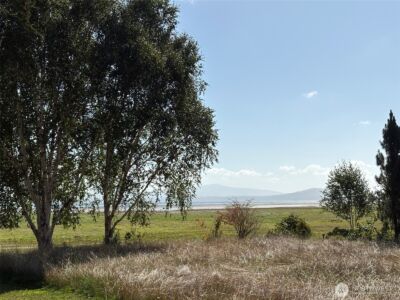 33880 Territory Road , Oysterville, WA 98640 - Photo 3