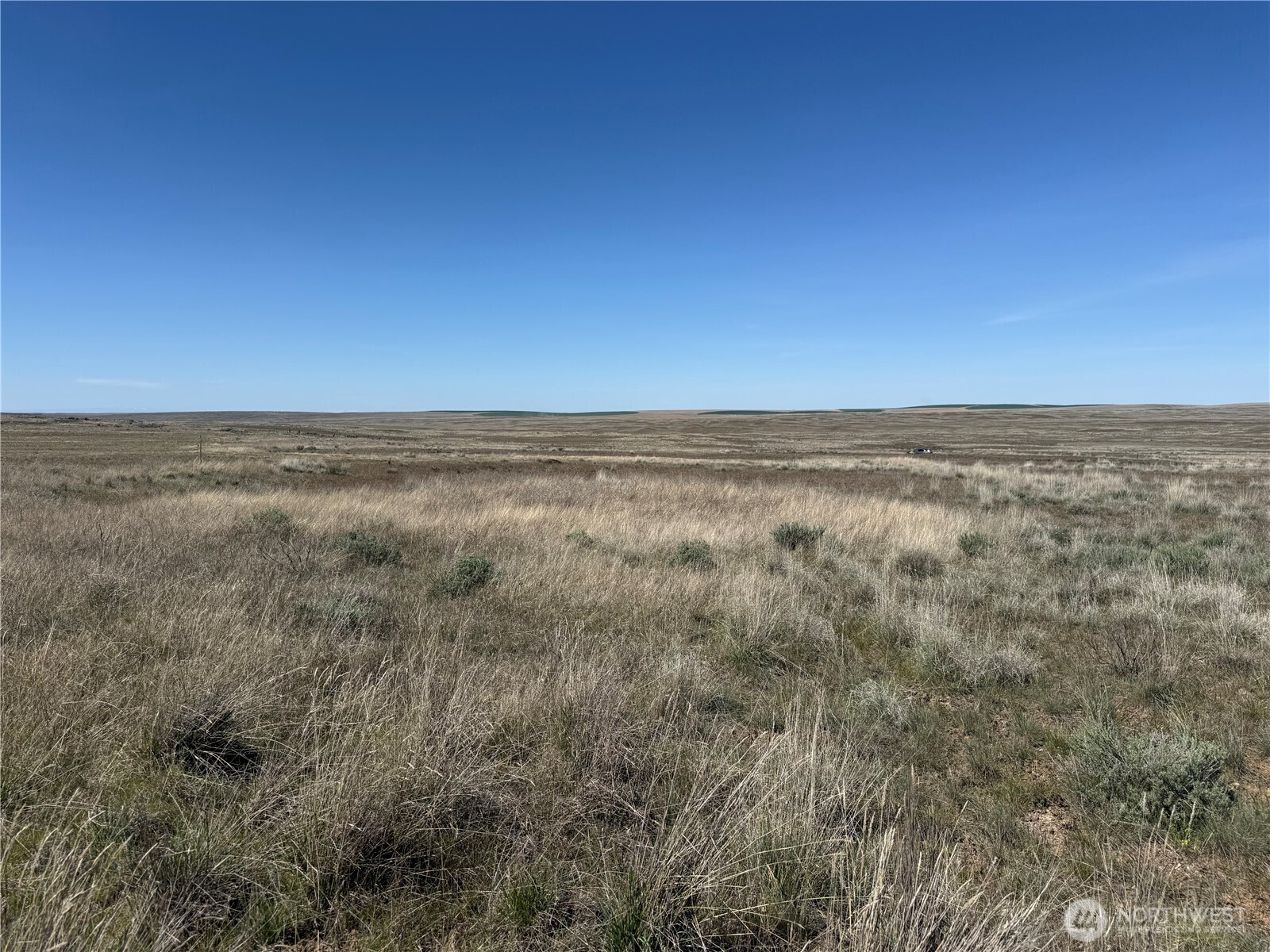 0 Black Rock Road N, Odessa, WA 99159