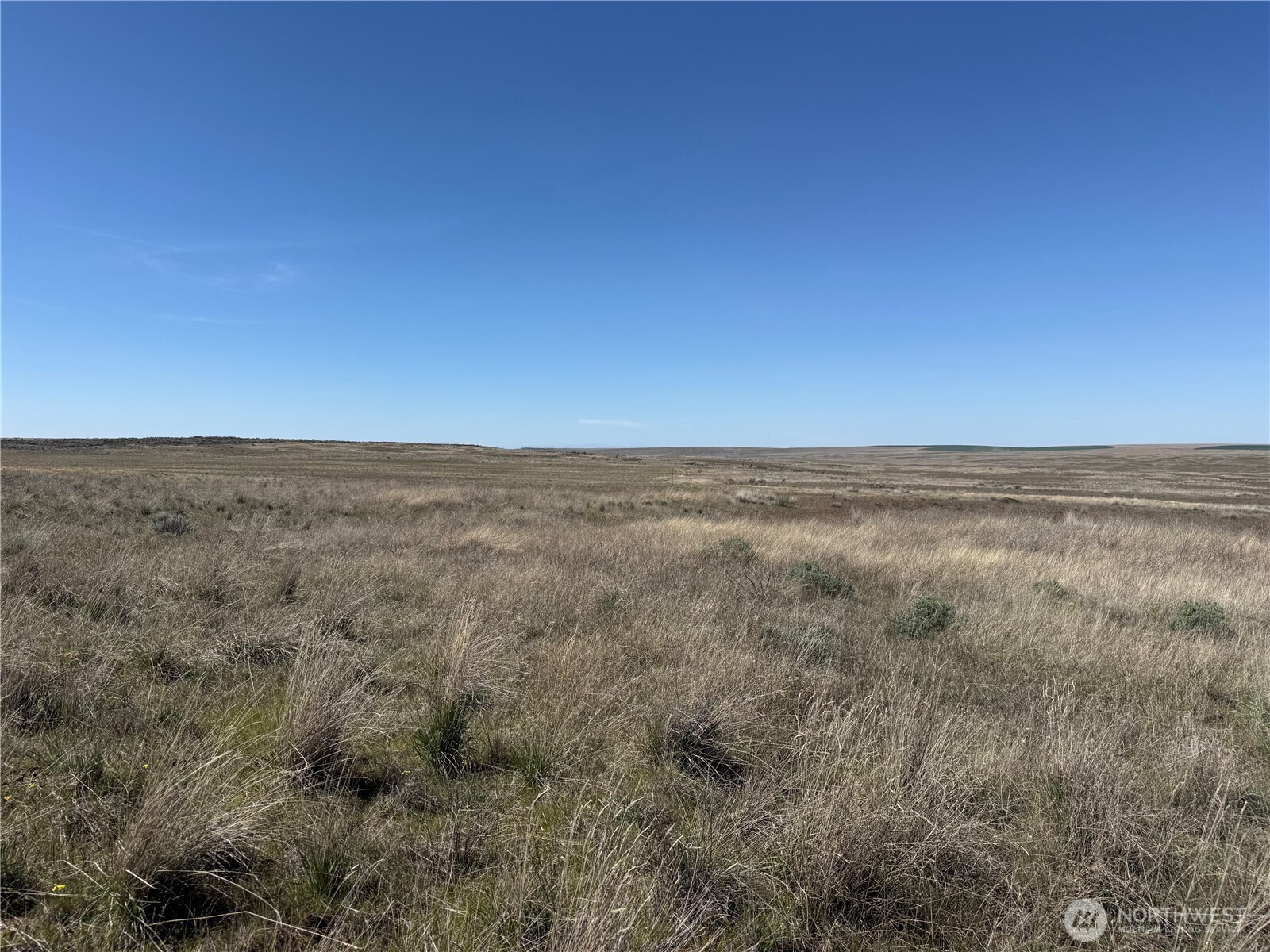 0 Black Rock Road N, Odessa, WA 99159