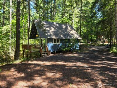 331 N Wynoochee Drive , Hoodsport, WA 98548 - Photo 1