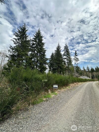 9945 Thomas Street , Forks, WA 98331 - Photo 1