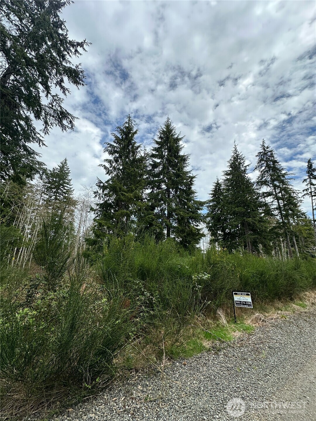 9945 Thomas Street , Forks, WA 98331