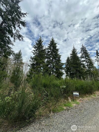 9945 Thomas Street , Forks, WA 98331 - Photo 2