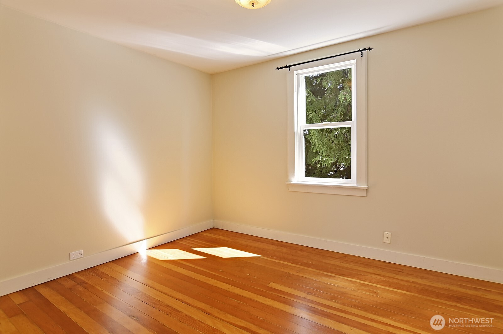 942 N 81st Street , Seattle, WA 98103