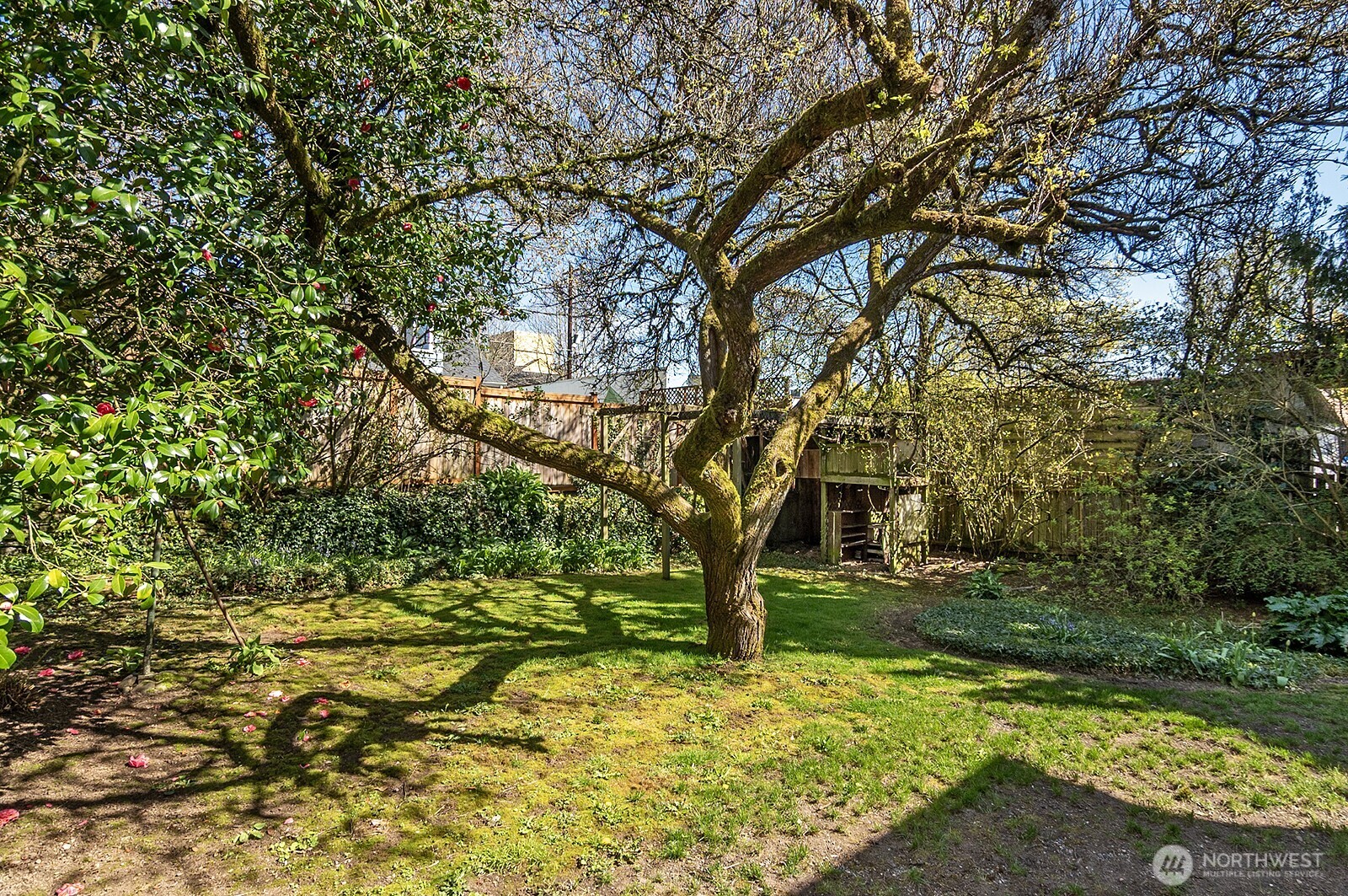 942 N 81st Street , Seattle, WA 98103