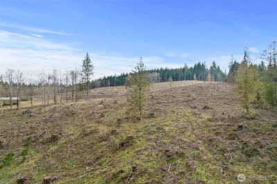 0 Little Hanaford #B, Centralia, WA 98531 - Photo 15