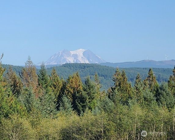 0 Little Hanaford #B, Centralia, WA 98531