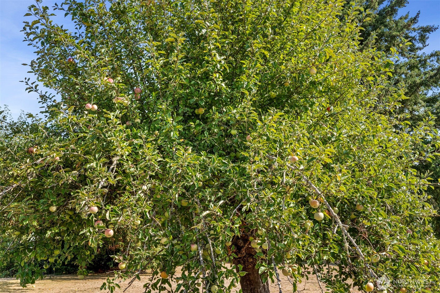 379 Twin Oaks Road , Chehalis, WA 98532