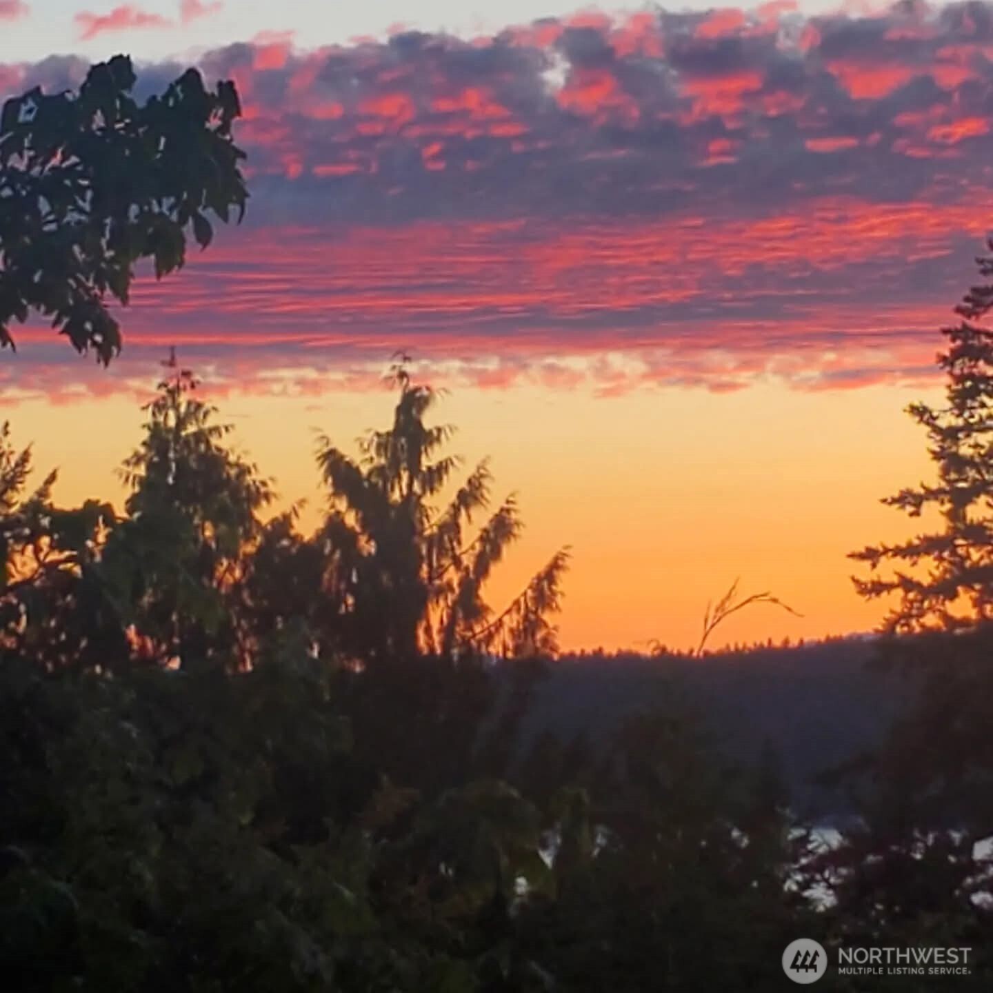 12408 58th Avenue , Gig Harbor, WA 98332