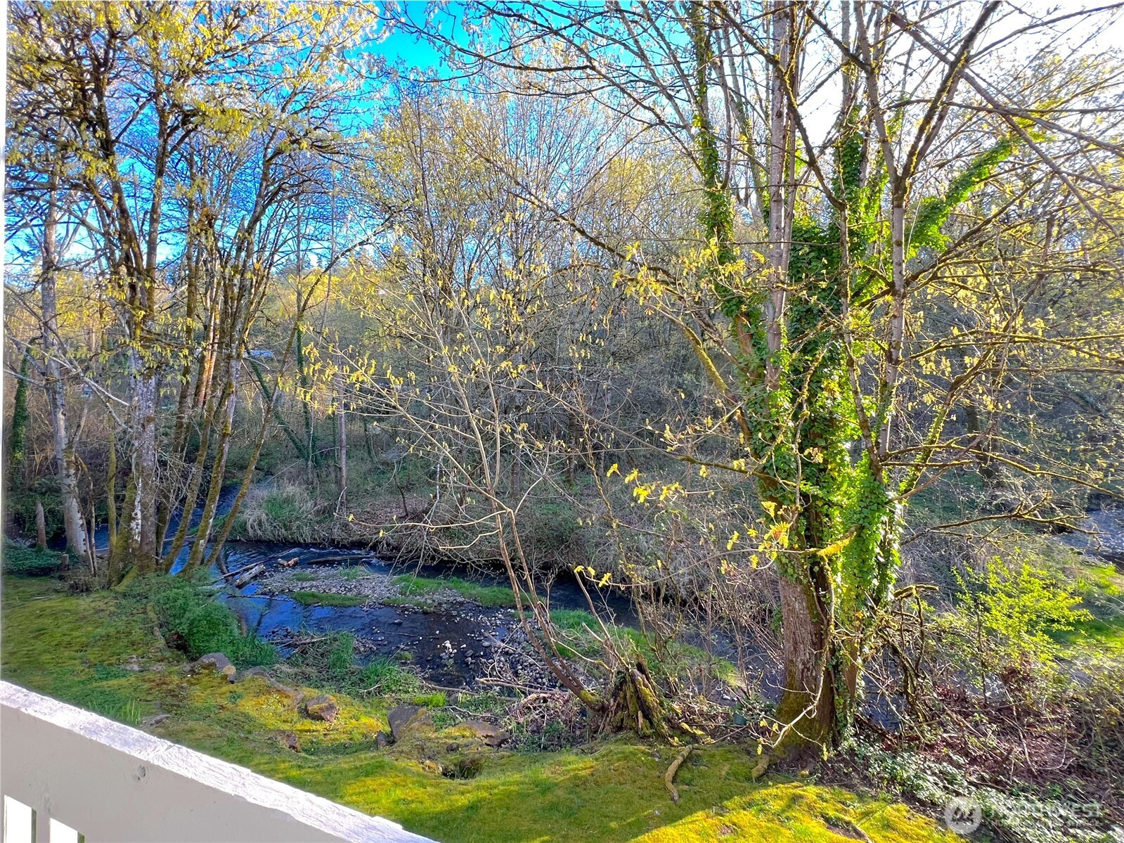 4519 125th Avenue SE #A204, Bellevue, WA 98006