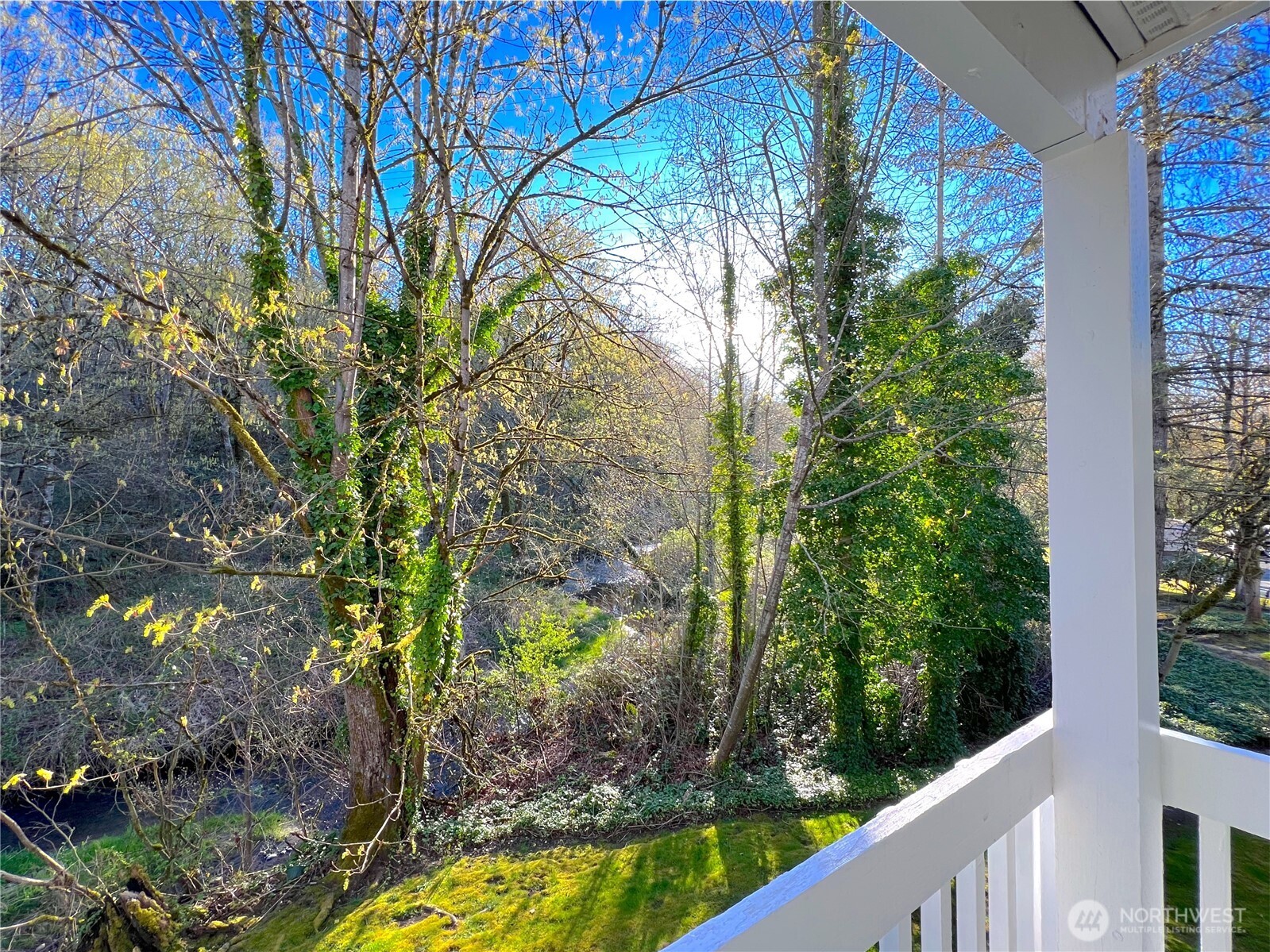 4519 125th Avenue SE #A204, Bellevue, WA 98006