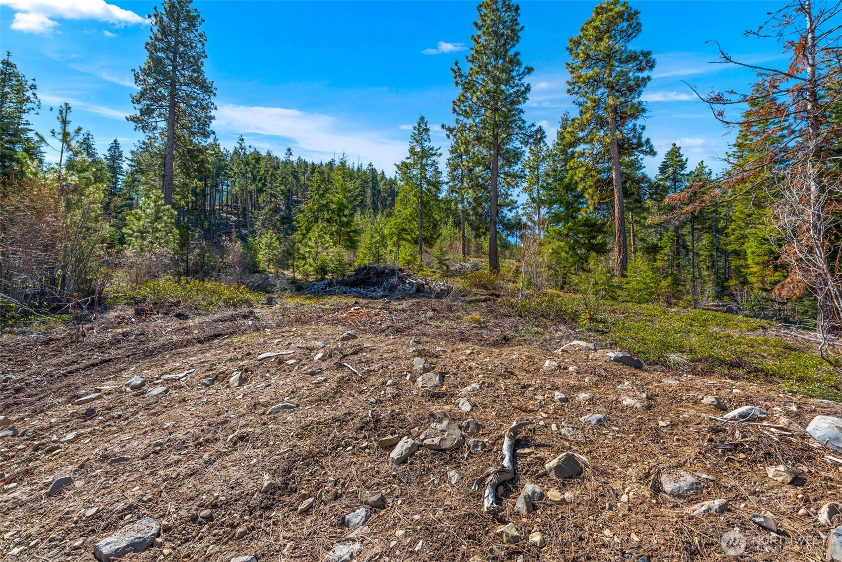 6424 Summit View Place , Wenatchee, WA 98801