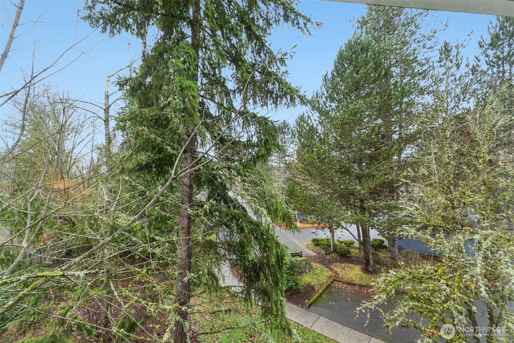 22454 SE 37th Terrace #2345, Issaquah, WA 98029-6281