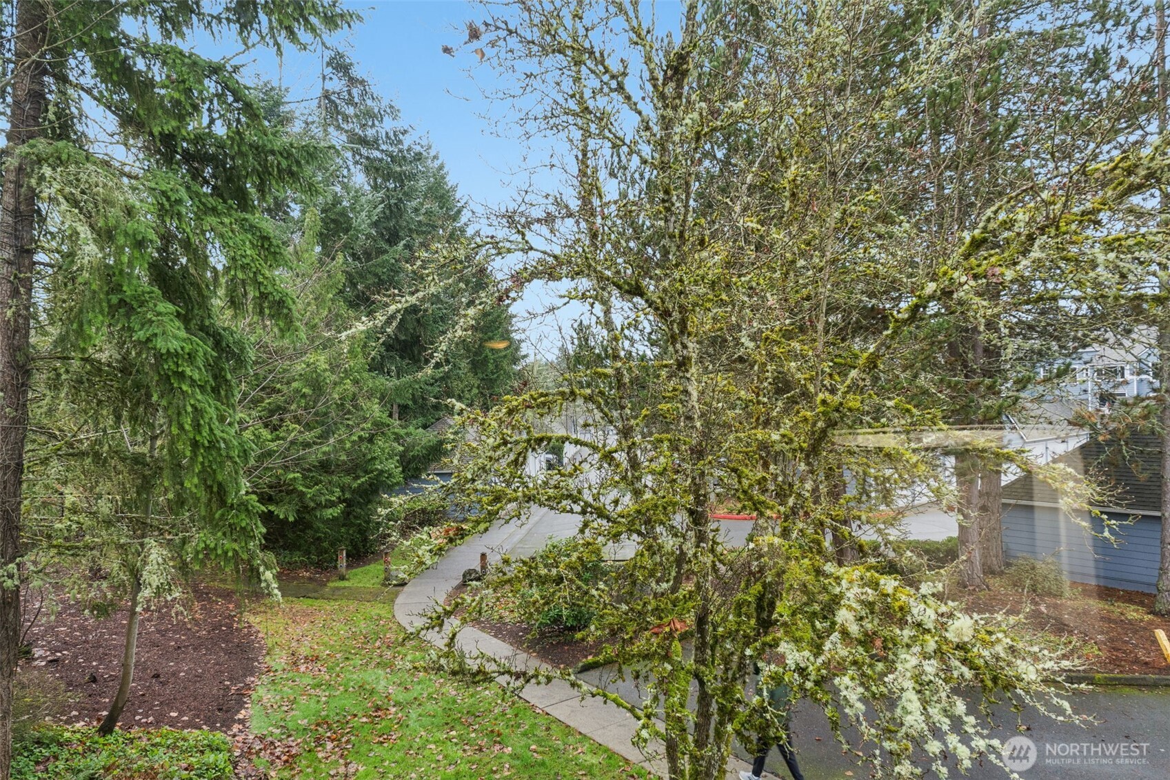 22454 SE 37th Terrace #2345, Issaquah, WA 98029-6281