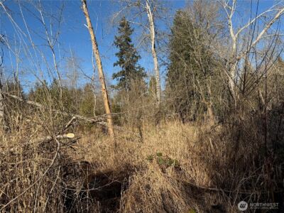 23112 State Route 9 SE, Woodinville, WA 98072 - Photo 14