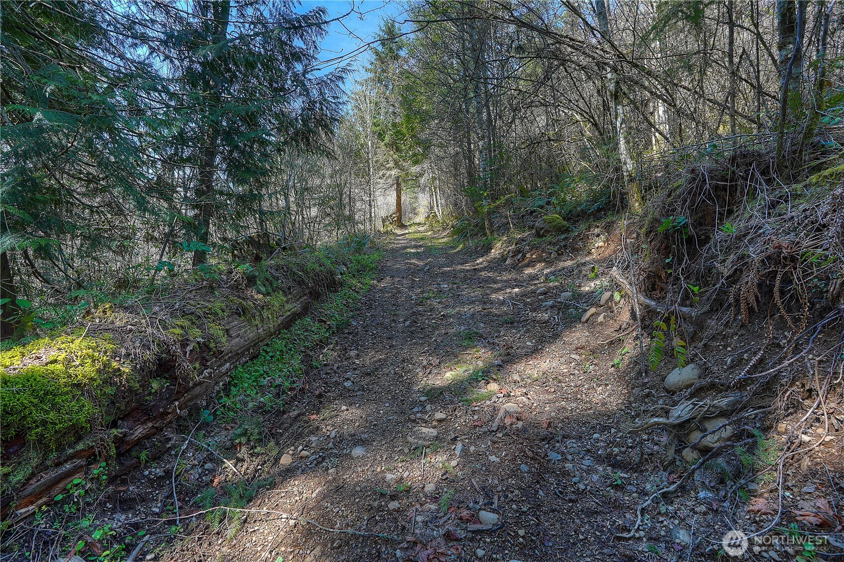 12833 Squaw Wood Lane SE, Rainier, WA 98576