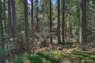 12833 Squaw Wood Lane SE, Rainier, WA 98576 - Photo 34