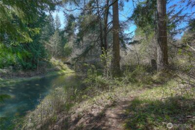 12833 Squaw Wood Lane SE, Rainier, WA 98576 - Photo 35