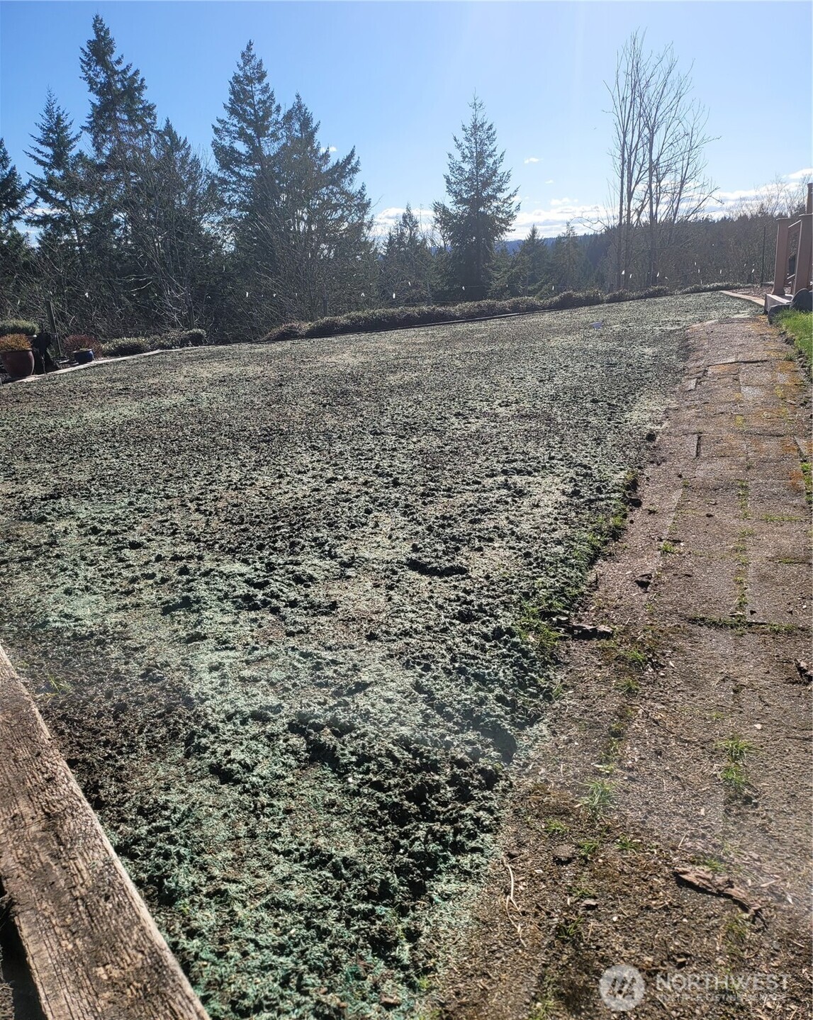 12009 239th Avenue Ct E, Buckley, WA 98321-9674