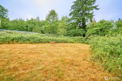 16718 SE May Valley Road , Renton, WA 98059 - Photo 11