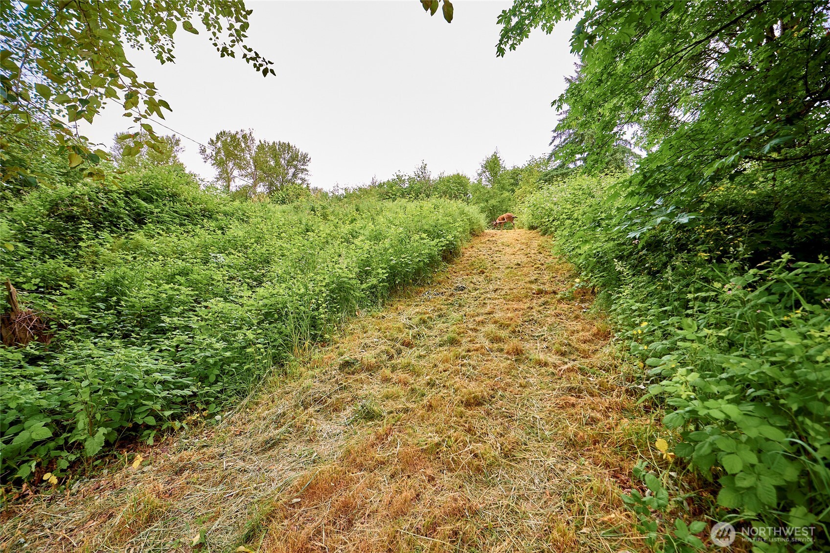16718 SE May Valley Road , Renton, WA 98059