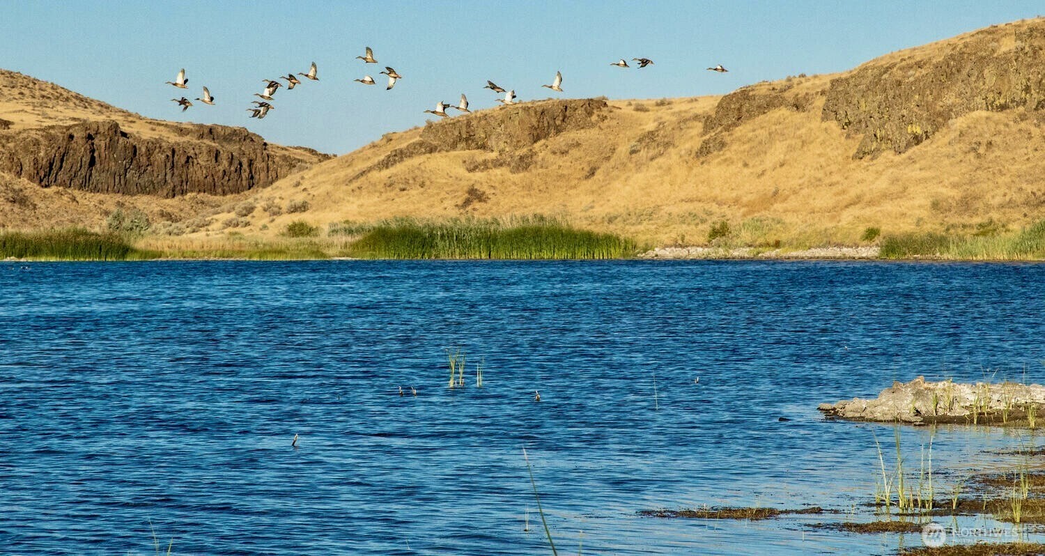 7037 E Highway 262 #58/59, Othello, WA 99344