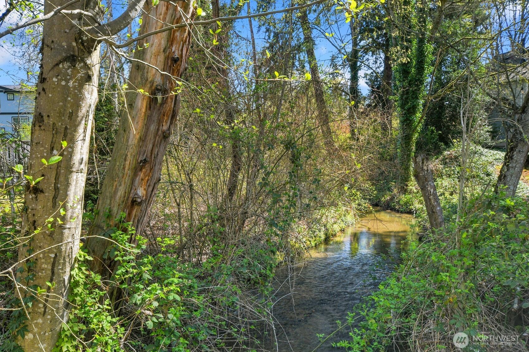 13020 102nd Lane NE #5, Kirkland, WA 98034