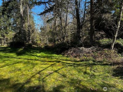 9999 Lot 1 Robinson Road , Port Angeles, WA 98362