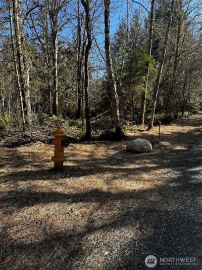9999 Lot 1 Robinson Road , Port Angeles, WA 98362 - Photo 5