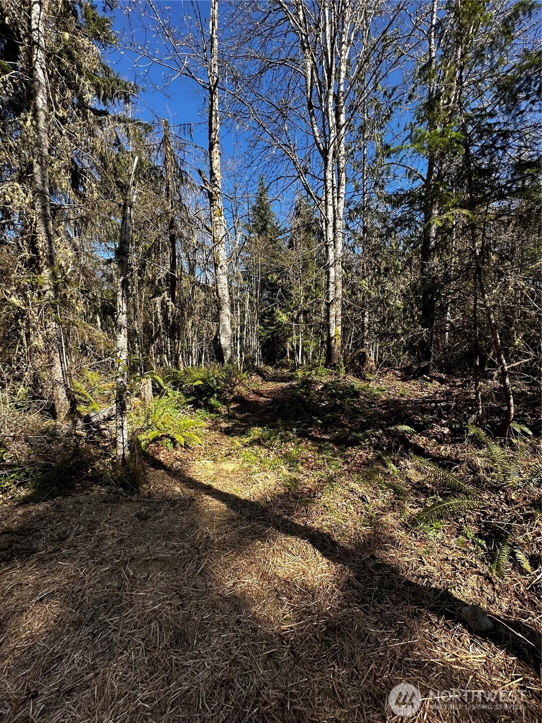 9999 Lot 1 Robinson Road , Port Angeles, WA 98362