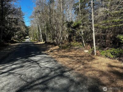 999 Lot 2 Robinson Road , Port Angeles, WA 98362 - Photo 3