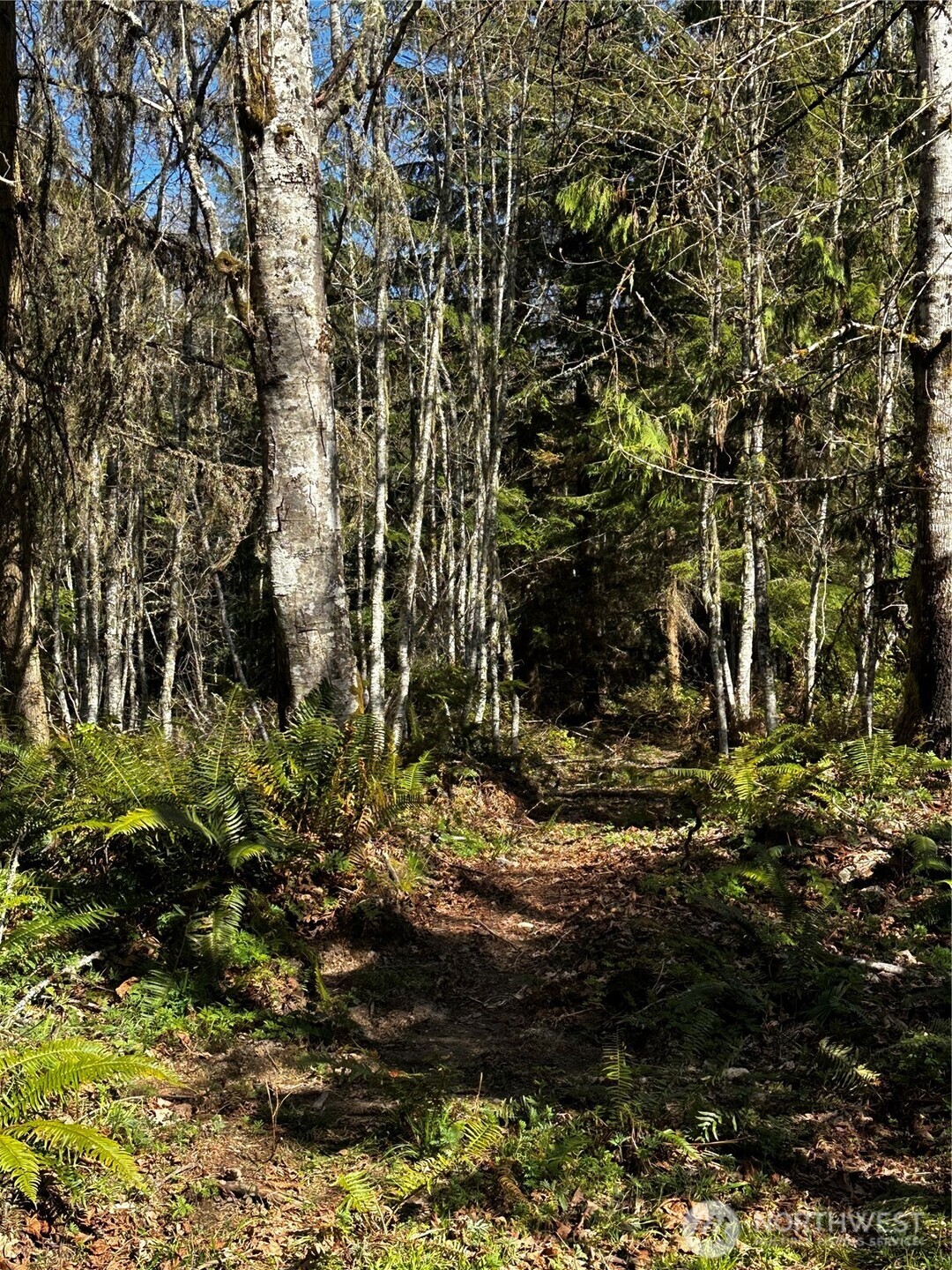999 Lot 2 Robinson Road , Port Angeles, WA 98362
