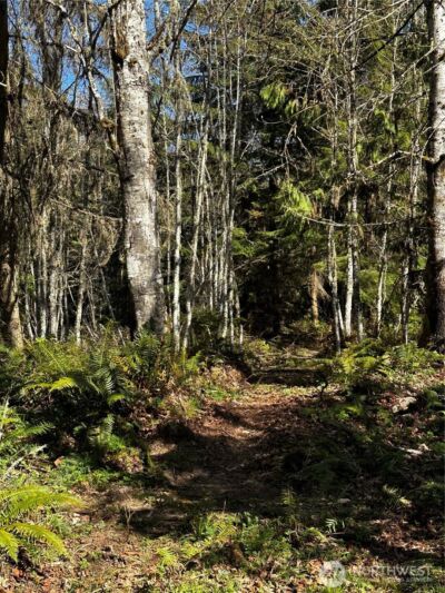 999 Lot 2 Robinson Road , Port Angeles, WA 98362 - Photo 8