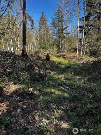 99 Lot 3 Robinson Road , Port Angeles, WA 98362 - Photo 4