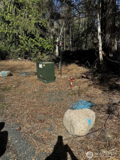 99 Lot 3 Robinson Road , Port Angeles, WA 98362 - Photo 5