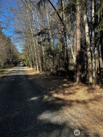 99 Lot 3 Robinson Road , Port Angeles, WA 98362 - Photo 7