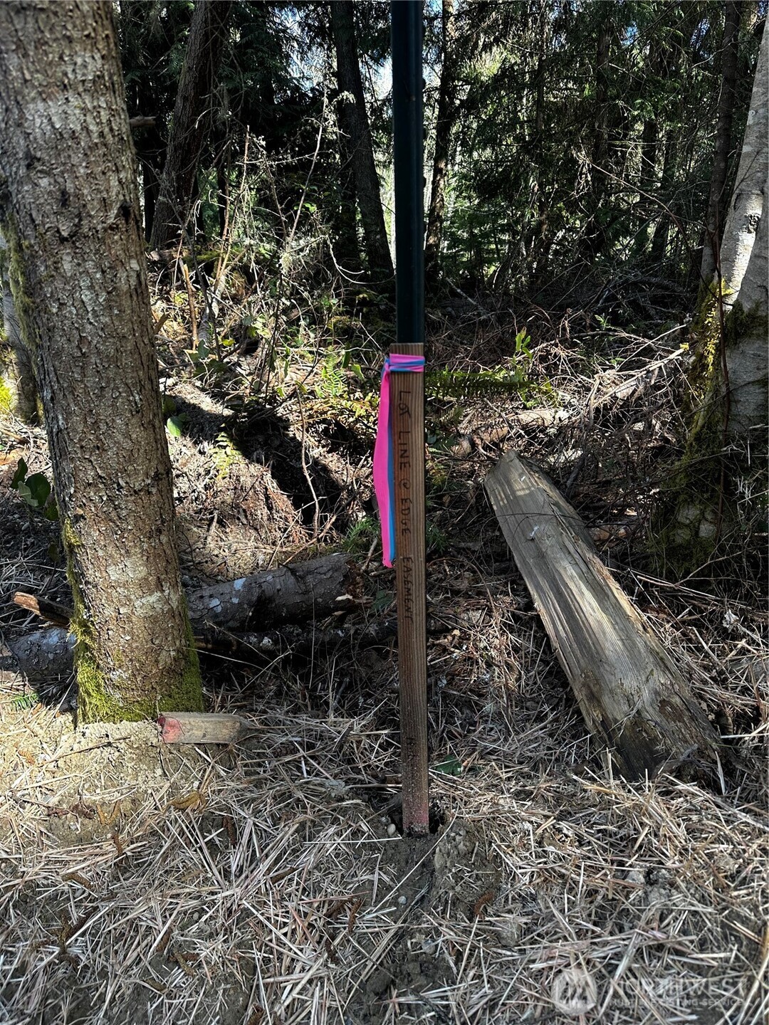 99 Lot 3 Robinson Road , Port Angeles, WA 98362