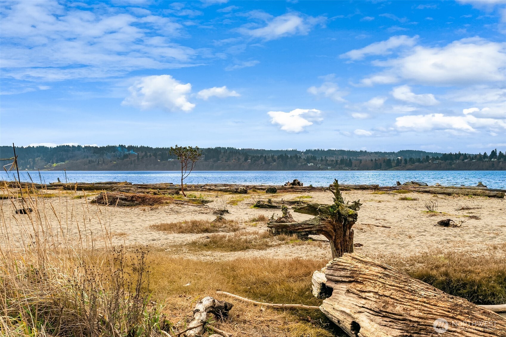 20325 81st Avenue SW, Vashon, WA 98070