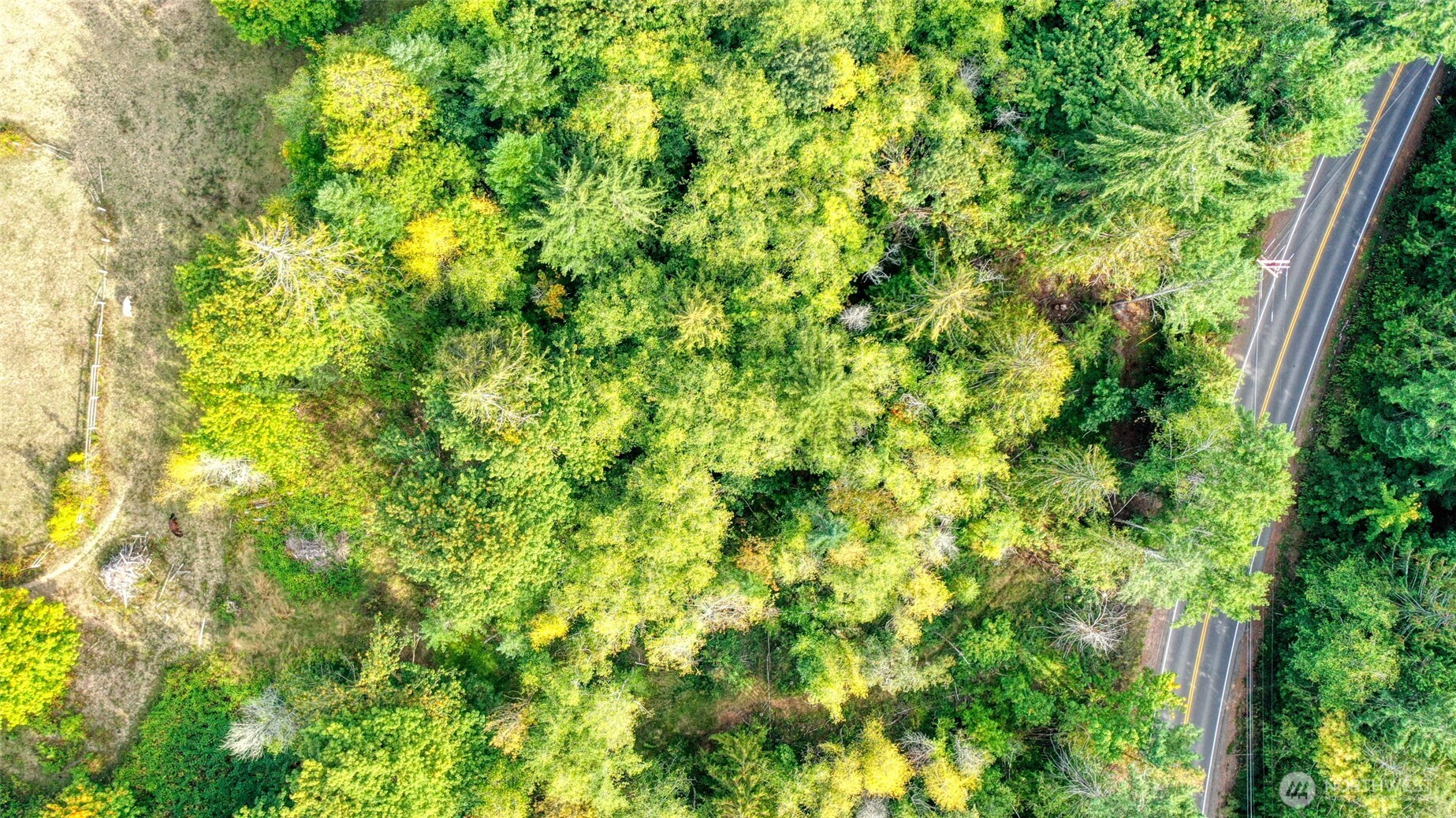 1 xxx SE Morgan Road , Shelton, WA 98584