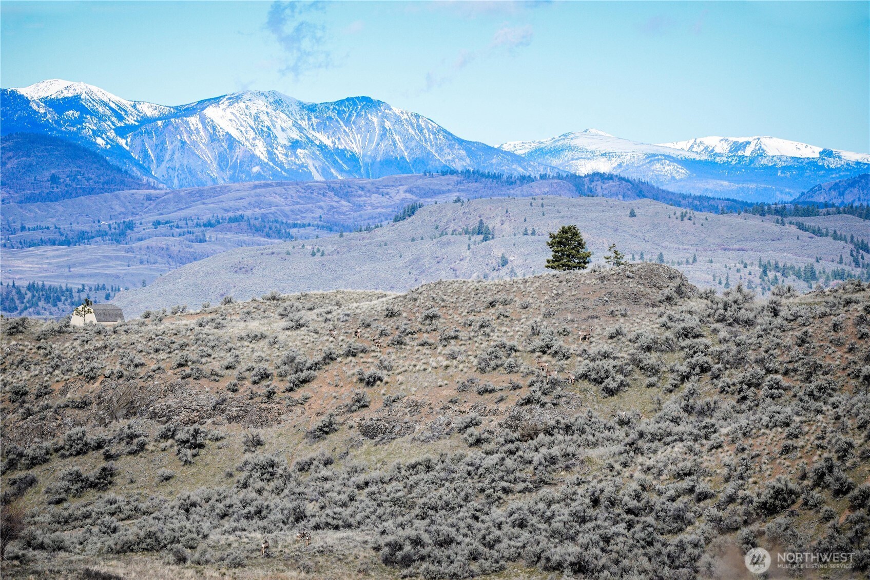 0 xxx Emily Road , Oroville, WA 98844