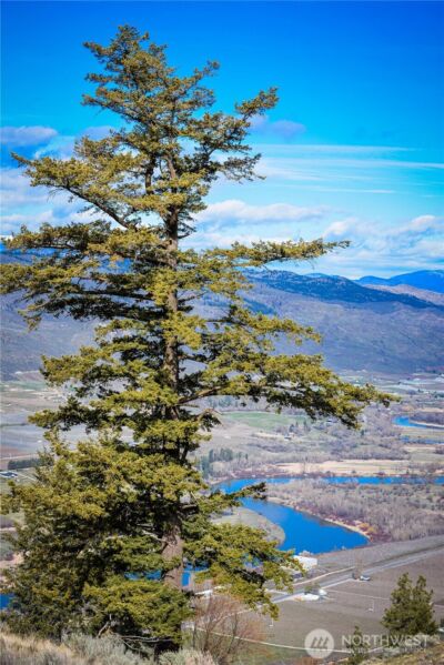 0 xxx Emily Road , Oroville, WA 98844 - Photo 13