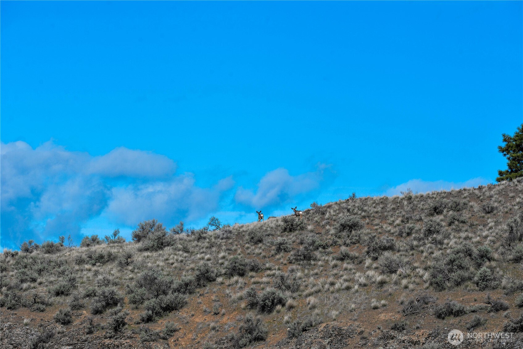 0 xxx Emily Road , Oroville, WA 98844