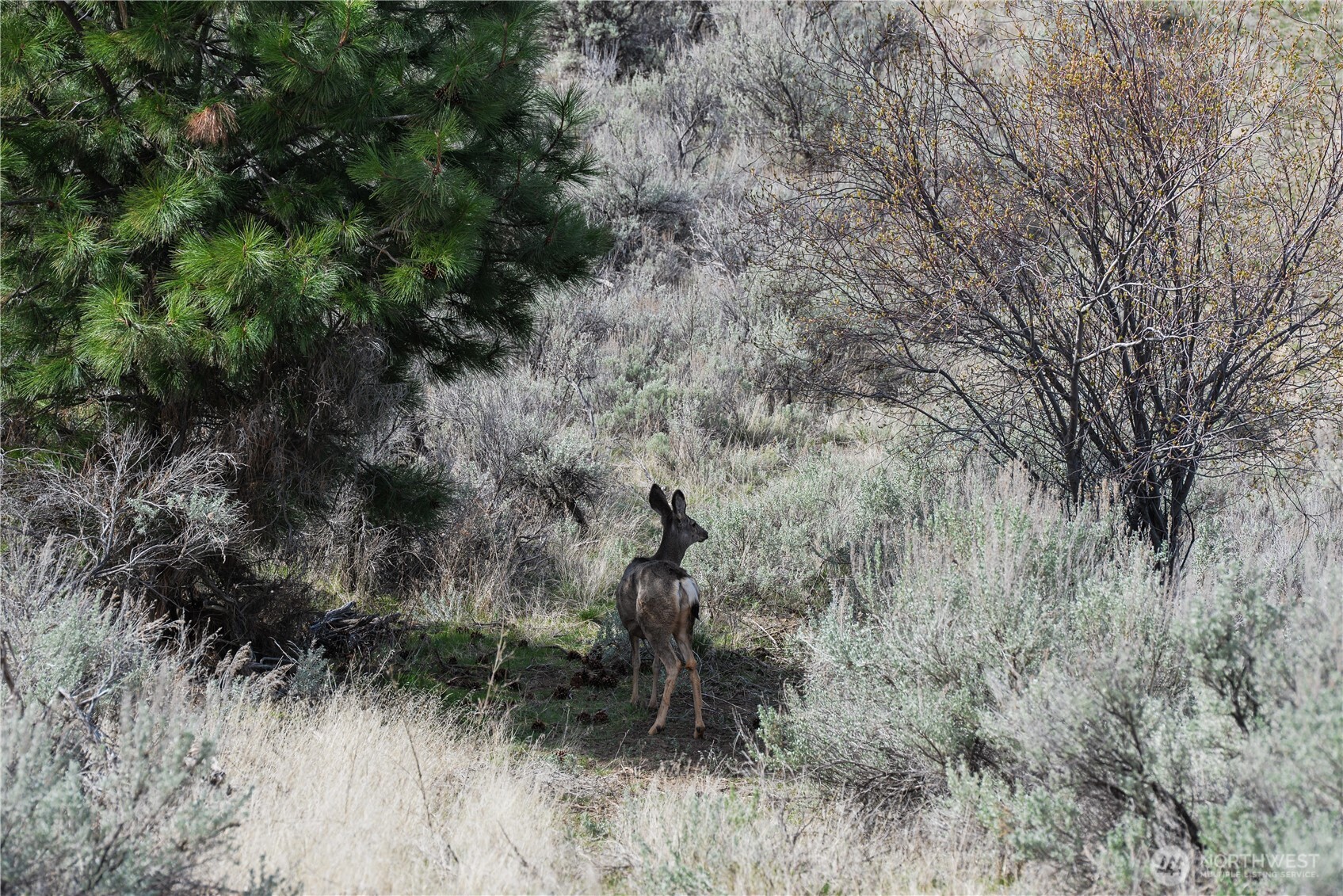 0 xxx Emily Road , Oroville, WA 98844