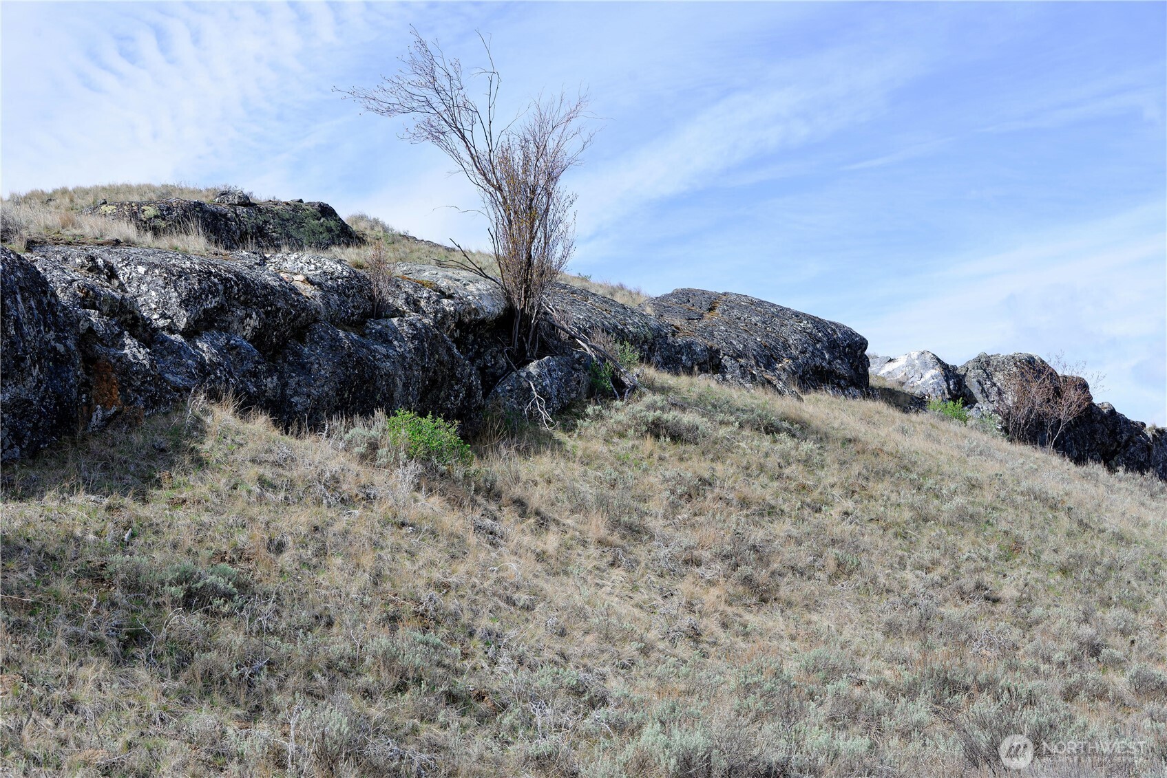 0 xxx Emily Road , Oroville, WA 98844