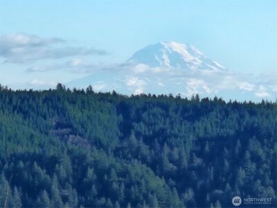 41 N Picnic Drive NW, Lilliwaup, WA 98555 - Photo 38