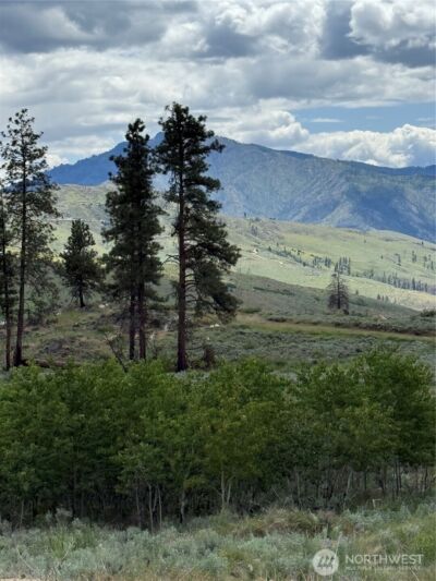 3 Ruttin Ridge Road , Methow, WA 98834 - Photo 1
